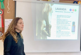 Oli Essenziali per il cavallo: Melaleuca e Lavanda