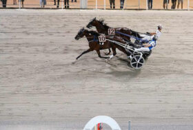 Cesena Trotto: resoconto  PREMIO CESENA HORSE CENTER ASD