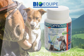 EPATOPRObio per cani di BIOEQUIPE