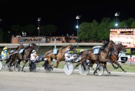 Cesena Trotto: prossimo martedì tutto da non perdere.