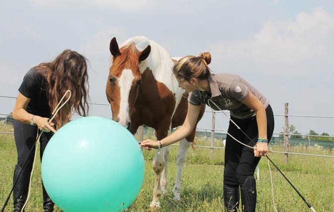 Alessandra Deerinck: i sensi nella relazione con il cavallo