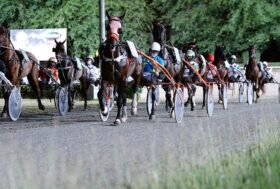 Ippodromo cesena trotto: presentazione corse di martedì 6 agosto