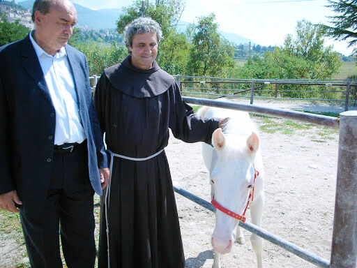 In auto col pancione - Portale