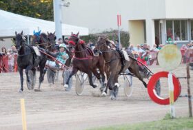 Arcoveggio, 72° Gran Premio Continentale. Trofeo Tomaso Grassi