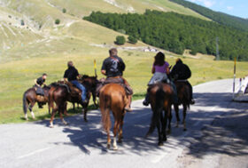 A CAVALLO PER LE STRADE: QUALI SONO LE NORME E LE LEGGI?