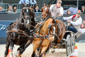 Verso la Finale di Bordeaux: il punto sulla FWCD, il circuito di attacchi più spettacolare al mondo