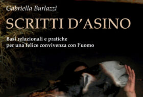 Scritti d’Asino: basi, relazioni e pratiche per una felice convivenza con l’uomo.