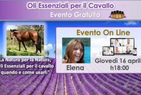 Continuano sulla piattaforma Zoom i seminari GRATUITI sull’uso degli Oli Essenziali di Grado Terapeutico per il cavallo inaugurati presso il centro equestre l’Università dell’Equitazione di Roma.