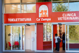 LA RETE DEI CENTRI VETERINARI CA’ ZAMPA PRONTA AD INAUGURARE NUOVE CLINICHE SUL TERRITORIO