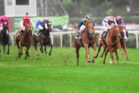 Weekend ricco all’Ippodromo Capannelle: sabato al trotto, domenica il Premio Signorino