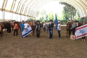 Dal 15 al 21 Luglio al centro ippico le Siepi di Cervia: AIQH Associazione Italiana Quarter Horse patrocina il YOUTH CAMP e YOUTH CUP, rivolto a ragazzi che si cimentano nella bella località di mare in tutte le discipline western