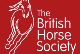 Con la British Horse Society puoi diventare istruttore di equitazione in tempi brevissimi e il tuo titolo è riconosciuto in ben 36 paesi.