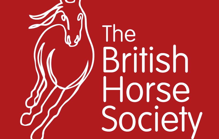 Con la British Horse Society puoi diventare istruttore di equitazione in tempi brevissimi e il tuo titolo è riconosciuto in ben 36 paesi.