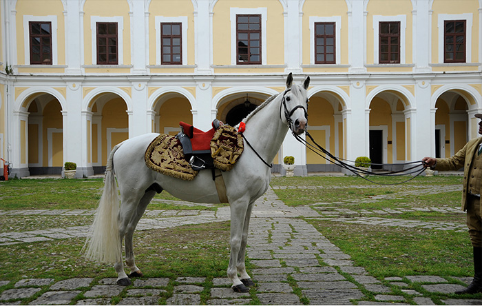Il salvataggio di un tesoro, il PERSANO, un Cavallo Reale ed emblema Ferrari