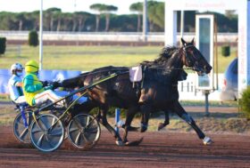 Capannelle, chiusura della stagione in bellezza: il 29 giugno grande trotto con il Premio Triossi e il Premio Turilli