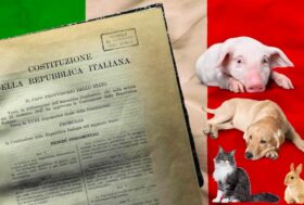 Animali in costituzione: Primo passo storico!