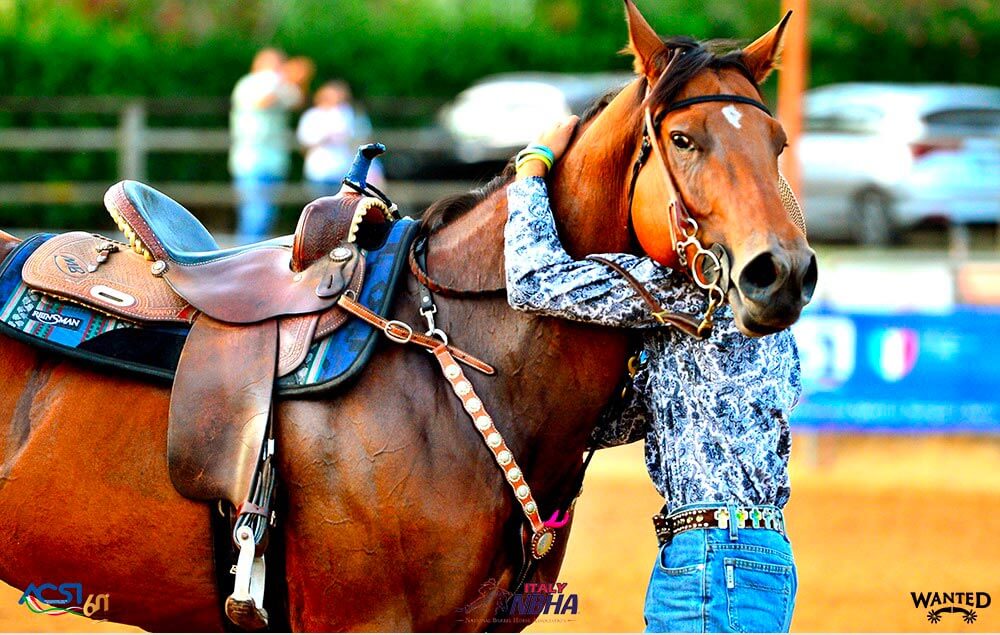 Testiera a doppia briglia – Passione Cavallo