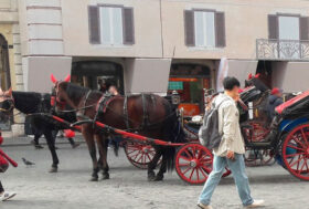 LAV: TAR Lazio annulla il regolamento comunale botticelle voluto dall’amministrazione Raggi.