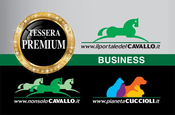 Tessera Premium Business