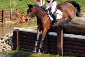 Grandis primo e terzo a Westerstede. Azzurri in evidenza ad Arezzo