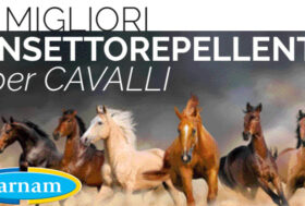 Insettorepellenti per Cavalli: da Farnam i Repellenti Sicuri e Registrati per il Benessere di Cavalli e Cavalieri