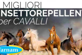 FARNAM i migliori insettorepellenti per cavalli! Scopri le trappole STARBAR per box e scuderie