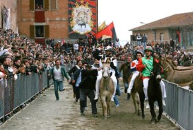 Torrita di Siena, IHP: “Fermare il palio dei somari”. Appello al governatore Giani