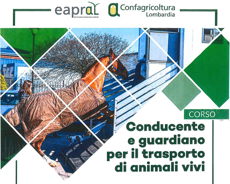Corso di formazione per conducente e guardiano per il trasporto di animali  vivi - Il Portale del Cavallo