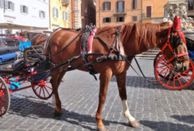 Roma, ordinanza del sindaco a tutela dei cavalli delle botticelle