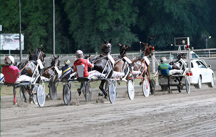 Ippodromo Cesena Trotto: resoconto delle corse di venerdì 1 luglio 2022 -  Il Portale del Cavallo