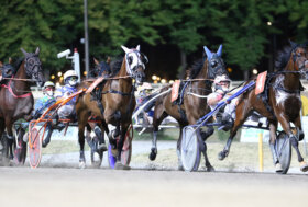 Ippodromo Cesena Trotto: presentazione delle corse di lunedì 5 agosto