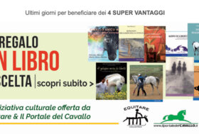 Novità per te e il tuo cavallo: selle, cuffie, protezioni e non solo. Acquista ora, la promo sta per scadere!