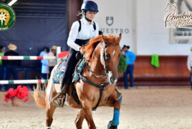 FITETREC-ANTE: Gimkana Western grande successo per Special Events, il Campionato Italiano e il Trofeo delle Regioni