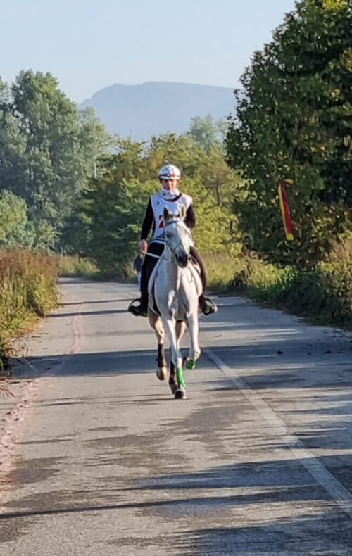 FISE Lombardia: ricchissimo il programma dell'Ambassador Challenge - Il  Portale del Cavallo