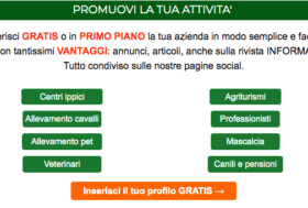 Inserisci un Annuncio e Promuovi la tua attività gratis sul Portale