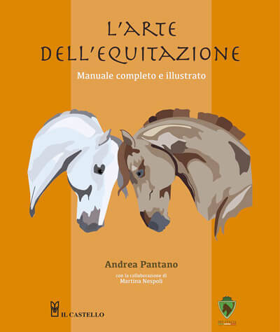 Cura del cuoio, i consigli degli esperti - Il Portale del Cavallo