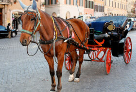 Roma, il Comune rende “stabili” le restrizioni sulle botticelle