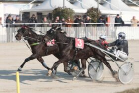 Ippodromo Snai La Maura: Coltwine di Casei, che rincorsa nel premio Gadames!