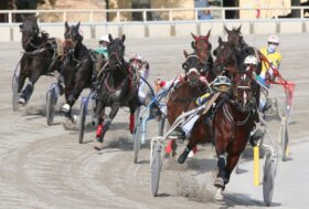 Ippodromo di Arcoveggio: giovedì 21 novembre otto corse con puledri, anziani, gentlemen e TQQ