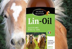 Scopri i molteplici benefici di LIN-OIL, l’olio di lino puro al 100%