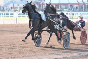 Weekend da non perdere a Capannelle: sabato 16 le batterie del Derby Italiano del Trotto e delle Oaks, domenica 17 al galoppo con il Premio Archidamia