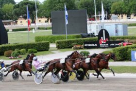 Arcoveggio: Giovedì 27 febbraio, tornano le corse all’ippodromo di Bologna