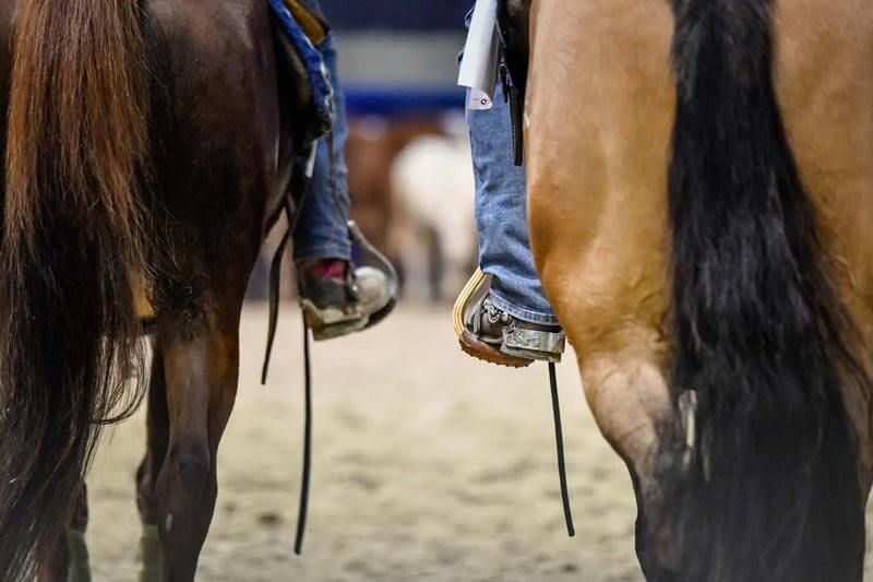 Non perderti la 125ª edizione di Fieracavalli a Verona dal 9 al 12 novembre  2023 - Il Portale del Cavallo