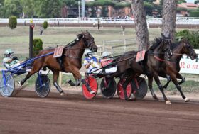 Sabato 7 ottobre all’Ippodromo Capannelle: in scena Criterium e aste Anact