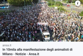 La più imponente, partecipata, bella mobilitazione per i diritti animali mai vissuta!