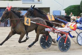 All’ippodromo Arcoveggio, soggetti blasonati nel clou. Finale con TQQ