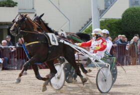 Ippodromo Arcoveggio: Giovedì otto corse con clou per velocisti