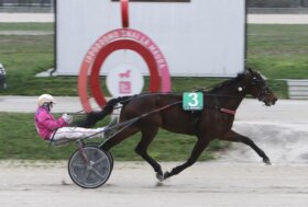 Il sabato all’Ippodromo SNAI La Maura sorride a Caio Titus Bond che si aggiudica il premio in memoria di Maurizio Schettino