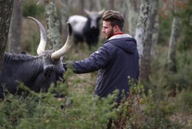 Allevare rispettando gli animali e la terra. Parte dall’Emilia-Romagna una rinnovata alleanza tra i cuochi e gli allevatori della rete Slow Food