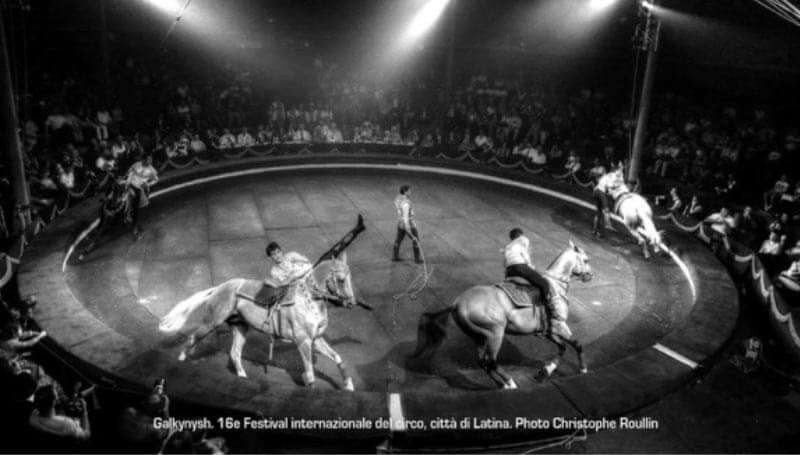 Ecoplus, non solo cavalli: Il circo equestre… che allegria!!!